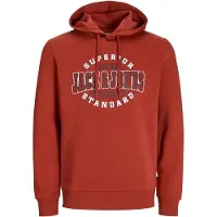 Jack & Jones Logo 2 Col Hættetrøje