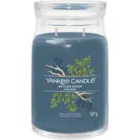 Yankee candle - Bayside Cedar-Large 567 gr