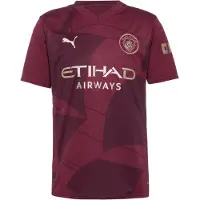 Puma Manchester City 24/25 Third Jersey Men, Clothing, Dark Jasper, XL