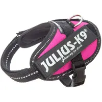 Julius-K9 Idc Power Baby Hundeseletøj