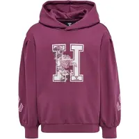 Hummel Hættetrøje - HmlAstrology - Lilla - - 4 år (104) - Hættetrøje