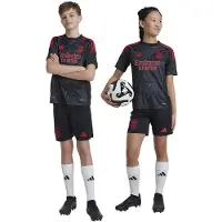 Adidas Benfica 24/25 Væk Junior T-shirt Med Korte ærmer