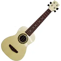 Music Ukulele