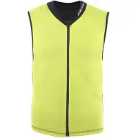 Dainese Scarabeo Auxagon Beskyttelsesvest