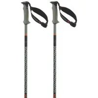 Salomon Polar Pro S3 Spadserestokke
