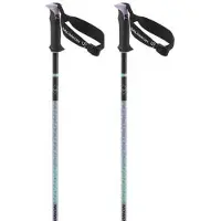 Salomon Polar Pro S3 Spadserestokke