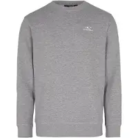 O'Neill Sweatshirt grå