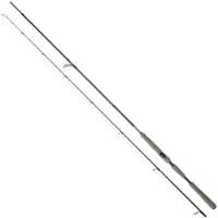 Daiwa Saltist Ags Iii Spinnestang