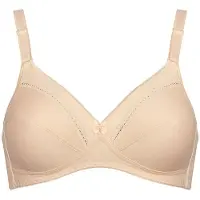 Triumph Cotton Classic Stretch N Bh