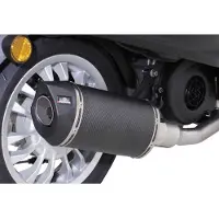 Remus Primavera 125 Ie/sprint 125 Ie 2016 0101 752116 Stainless Steel Linkrør