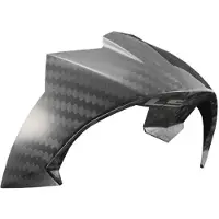 LS2 Ff805 Carbon Ece Hjelmens Bagspoiler