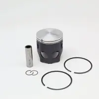 VERTEX 200 D66.25 Stempelkit