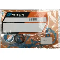 Artein J0000ap000429 Komplet Pakningssæt