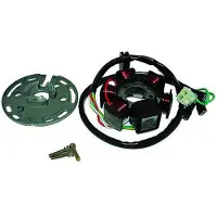 Kokusan 6 Polos 12v 85w Derbi Stator