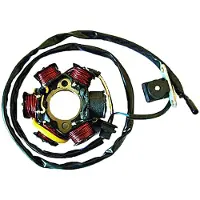 Sgr 6 Poles Pick-up Peugeot 50 130w Stator