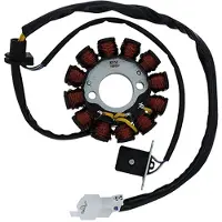 Sgr 12 Poles Trifase Kymco Agility Plus 5/200 Stator