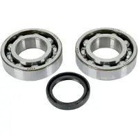 Hotrods Kawasaki 2004-2018 Kx250f Suzuki 2004-2006 Rm-z250 Krumtapaksel Leje Og Tætningssæt