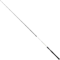 Renzo Valdieri Clear Bass Spinnestang