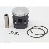 VERTEX Minarrv Polini D46.97 D Stempel