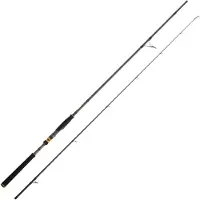 Cinnetic Raycast Xbr Shore Jigging Stang