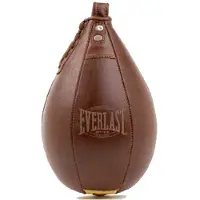 Everlast 1910 Speedbag