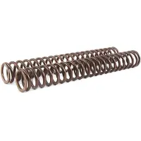 Öhlins 08431-51 Gaffelfjedersæt