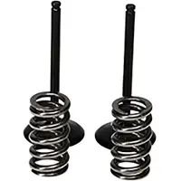 ProX Yamaha Yz450f 10-13 Vcsis24402 Indsugningsventil