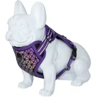 Freedog Boreal Hundeseletøj
