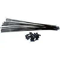 Vision Team 81 Sl 231-242 Mm Eger