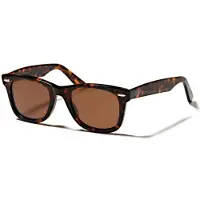 Ocean Sunglasses Walker Solbriller