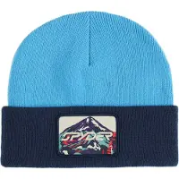 Spyder Link Beanie