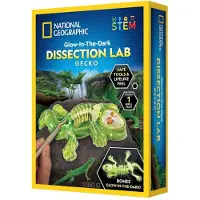 National Geographic Gecko Dissection Lab
