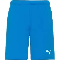 Puma Sportsbukser 'TeamRise' azur