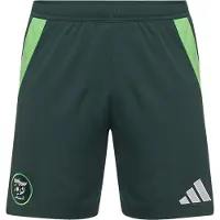 Adidas Herre FAF Algeriet udebukser Mineral Green