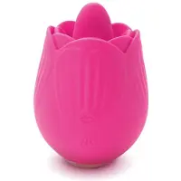 Creative Conceptions SKINS ROSE BUDDIES ROSE FLIX