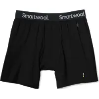 Smartwool Merino Brief Boxers