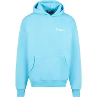 Dropsize Sweatshirt lyseblå