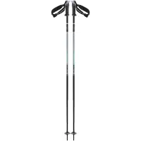 Salomon Polar Pro S3 Spadserestokke