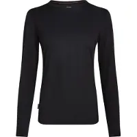 Icebreaker Funktionsbluse 'Cool-Lite Sphere III ' sort