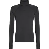 Icebreaker 300 Merinofine Polar Roll Neck Langærmet Baselayer