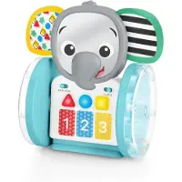 Baby einstein Chase & Tap Earl kravle- og aktivitetslegetøj