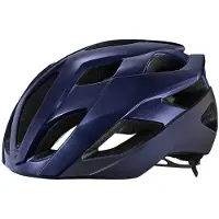Giant Rev Elite Mips Hjelm