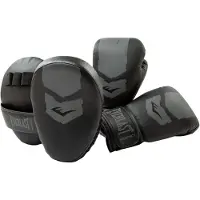 Everlast Fse Prospect 2 Kit Mitt Læder Kunstige Boksehandsker