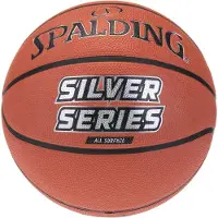 Spalding NBA Silver udendørs størrelse 7