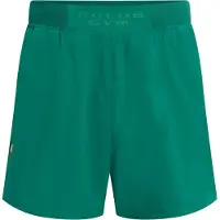 GOLD´S GYM APPAREL Sportsbukser 'MARK' smaragd