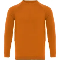Antioch Pullover orange