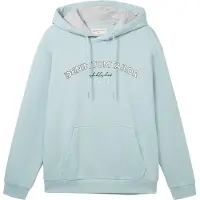 Tom Tailor DENIM Sweatshirt lyseblå / grå-meleret / sort / hvid