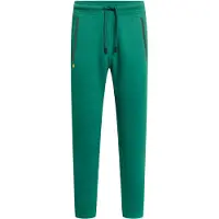 GOLD´S GYM APPAREL Sportsbukser 'ERIC' gran