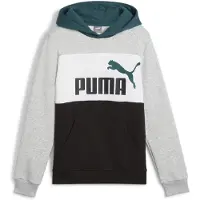 Puma Ess Block Hættetrøje