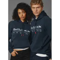 Red Bull Racing Team Logo Overhead Hættetrøje